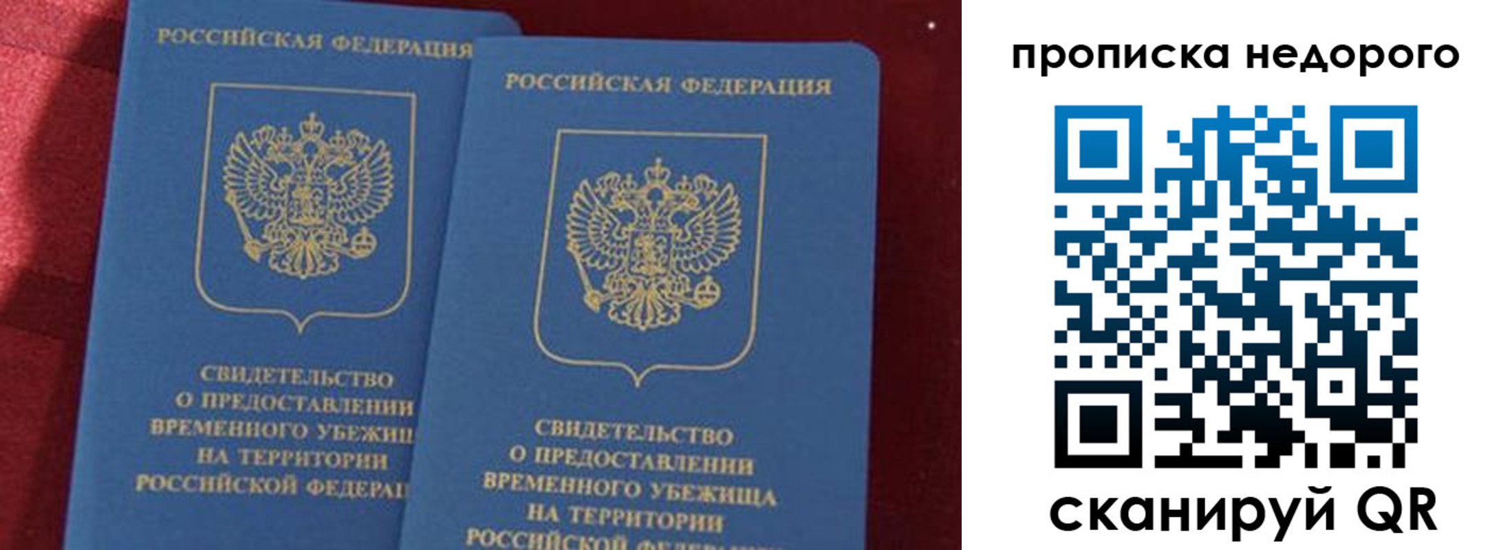прописка гарантия в Калининградской области